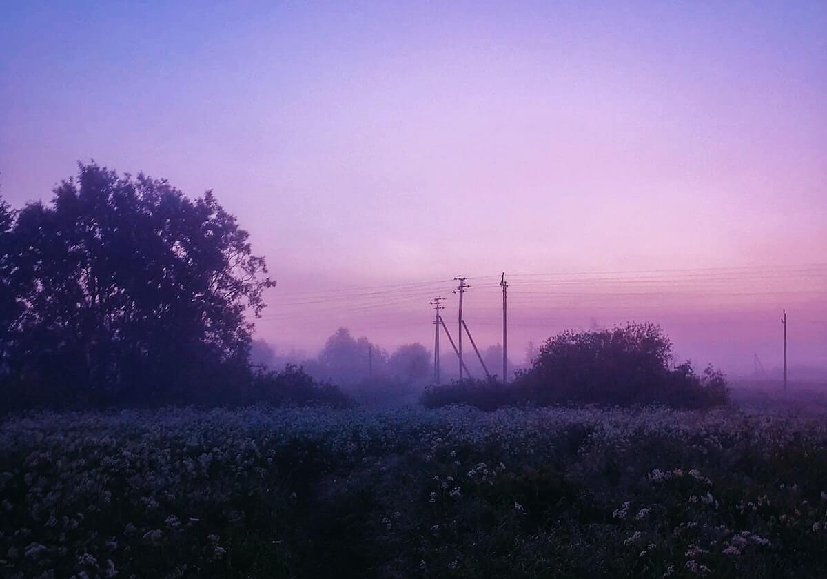 世界杯赛事统计-莱万诺伊尔众望所归 克洛普被自己得奖惊呆了